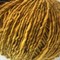 Casagrande CashTweed 50гр, 1 моток PrGEmSUEjjRZcH3tg3SXO3 - фото 4726