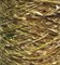 TW Pecci Paella NM 150 GlLg17-Dirt1-ewZN8Sri2 - фото 5464