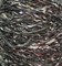 TW Pecci Paella NM 150 GlLg17-Dirt1-ewZN8Sri2 - фото 5465