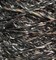 TW Pecci Paella NM 150 GlLg17-Dirt1-ewZN8Sri2 - фото 5466