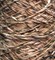 TW Pecci Paella NM 150 GlLg17-Dirt1-ewZN8Sri2 - фото 5486