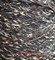 TW Pecci Paella NM 150 GlLg17-Dirt1-ewZN8Sri2 - фото 5501