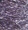 TW Pecci Paella NM 150 GlLg17-Dirt1-ewZN8Sri2 - фото 5504
