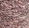 TW Pecci Paella NM 150 GlLg17-Dirt1-ewZN8Sri2 - фото 5508